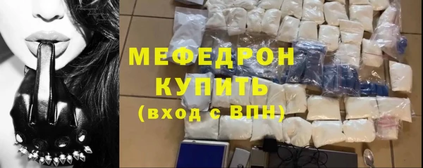 сатива Няндома