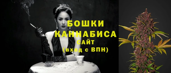 сатива Няндома