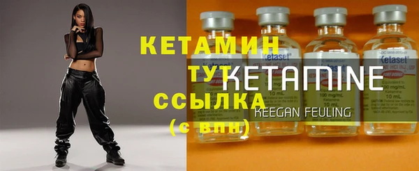 сатива Няндома