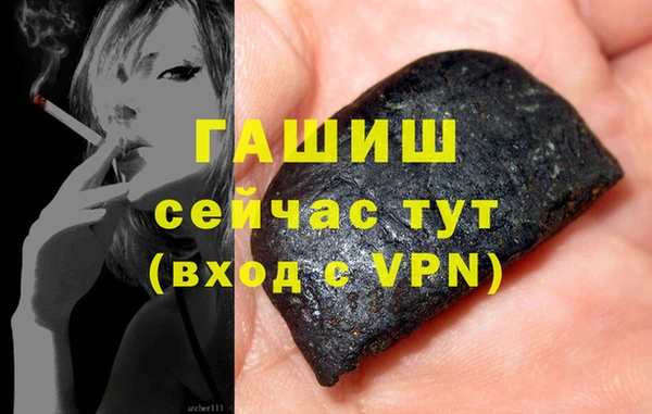 сатива Няндома