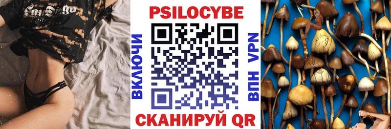 дарк нет клад  Сычёвка  Псилоцибиновые грибы ЛСД  купить наркотик 